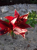 P270611_19.26_[01]