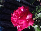 P270611_19.28_[01]