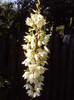 P270611_19.28_[02]