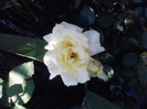 P270611_19.29_[02]