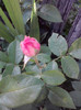 P270611_19.29_[03]