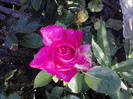 P270611_19.29_[05]