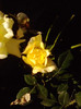 P270611_19.30_[01]