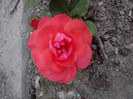 P270611_19.30_[02]