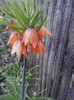 P280411_19.59_[05]
