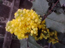 P280411_20.01_[02]