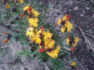 P280411_20.02_[02]