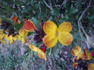 P280411_20.03