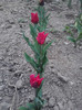 P280411_20.05
