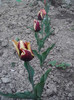 P280411_20.07