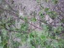 P280411_20.09_[01]