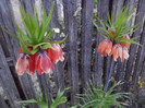 P280411_20.15