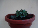 P280411_20.17