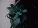 P280411_20.17_[01]
