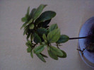 P280411_20.19