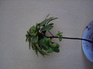 P280411_20.19_[01]