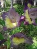 P280711_19.18_[01]