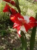 P280711_19.18_[03]