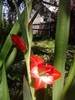 P280711_19.19_[02]