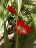 P280711_19.19_[03]