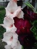 P280711_19.20_[02]