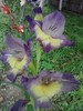 P280711_19.21_[01]