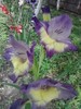 P280711_19.21_[02]