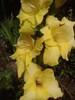 P280711_19.21_[03]