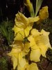 P280711_19.21_[04]