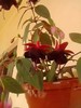 P280711_19.31_[01]