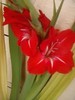 P280711_19.31_[02]
