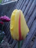 P290411_19.00_[01]