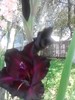 P290711_17.29_[01]