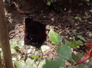 P300511_14.56_[01]