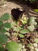 P300511_14.58_[01]