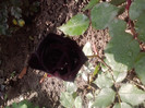 P300511_14.58_[02]