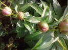 P300511_14.59