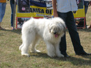 filipesti