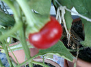 my pictures- 19 sept 2011 053