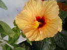 my pictures- 19 sept 2011 082