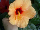 my pictures- 19 sept 2011 084