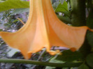 Fotografie0902