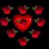 y love you