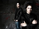 wallpaper-tvd-damon_large