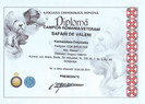 arkan diploma jpg