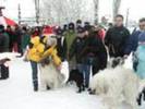 Brasov 2003