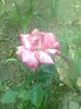 Imag041
