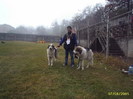 barlad 2005 botosubella18