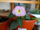 DSCN1075