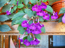 DSCN1096